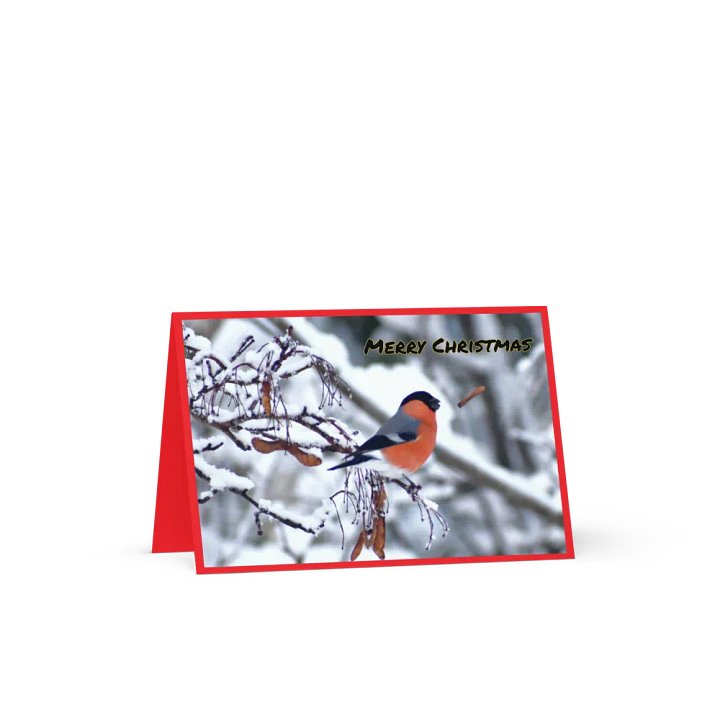 Greeting card: Bullfinch Eating In Snow product image (1)