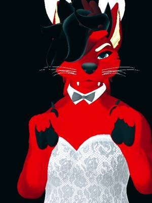 Addressing the allegations of my outfit 