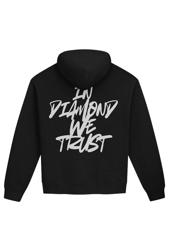 DJD hoodie product image (2)