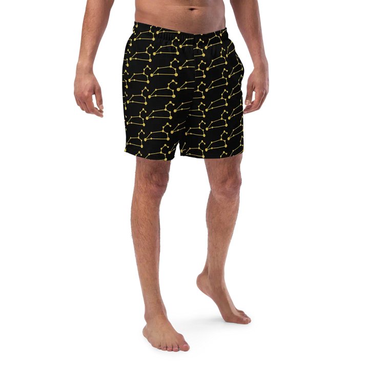 Celestial Leo Connection Swim Trunks product image (1)