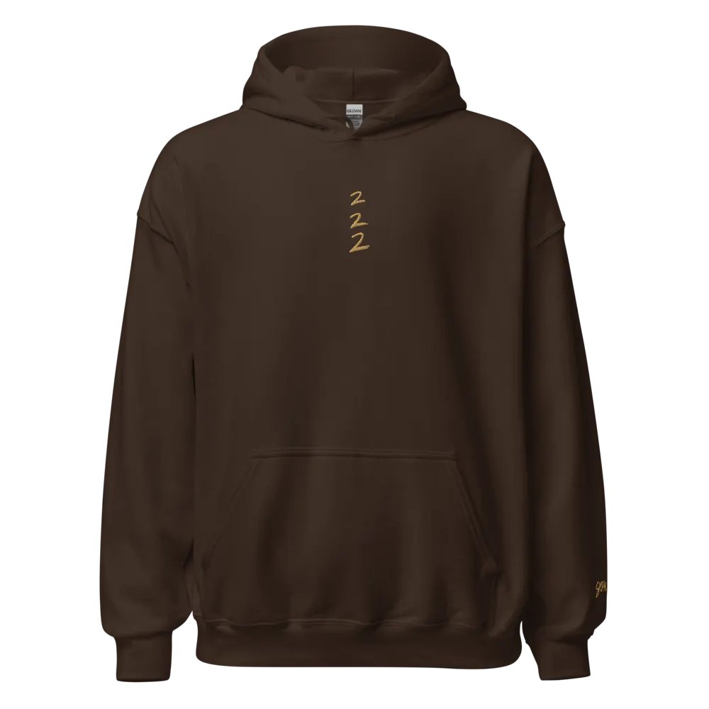 222 hoodie product image (2)