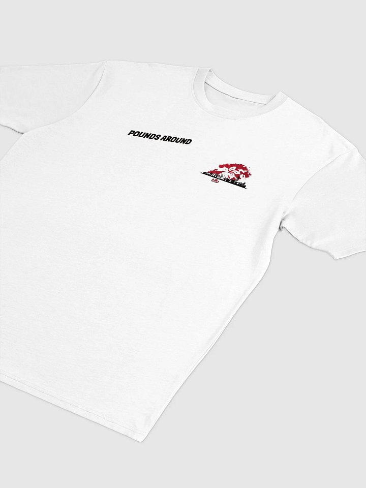 POUNDS AROUND HONG KONG SHIRT product image (2)
