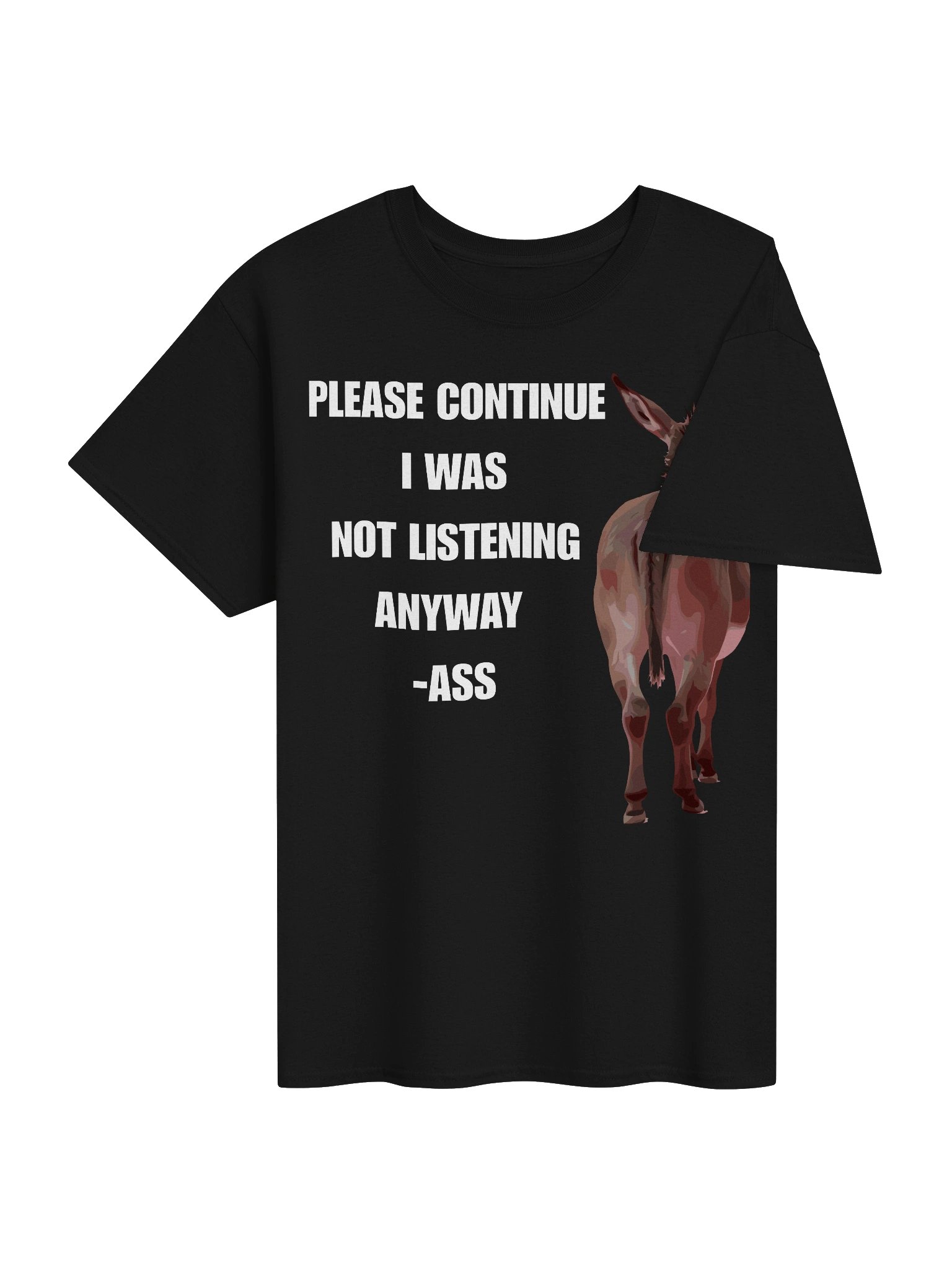 "Please Continue I Was Not Listening Anyway" Funny Sarcastic Humor T-Shirt product image (4)
