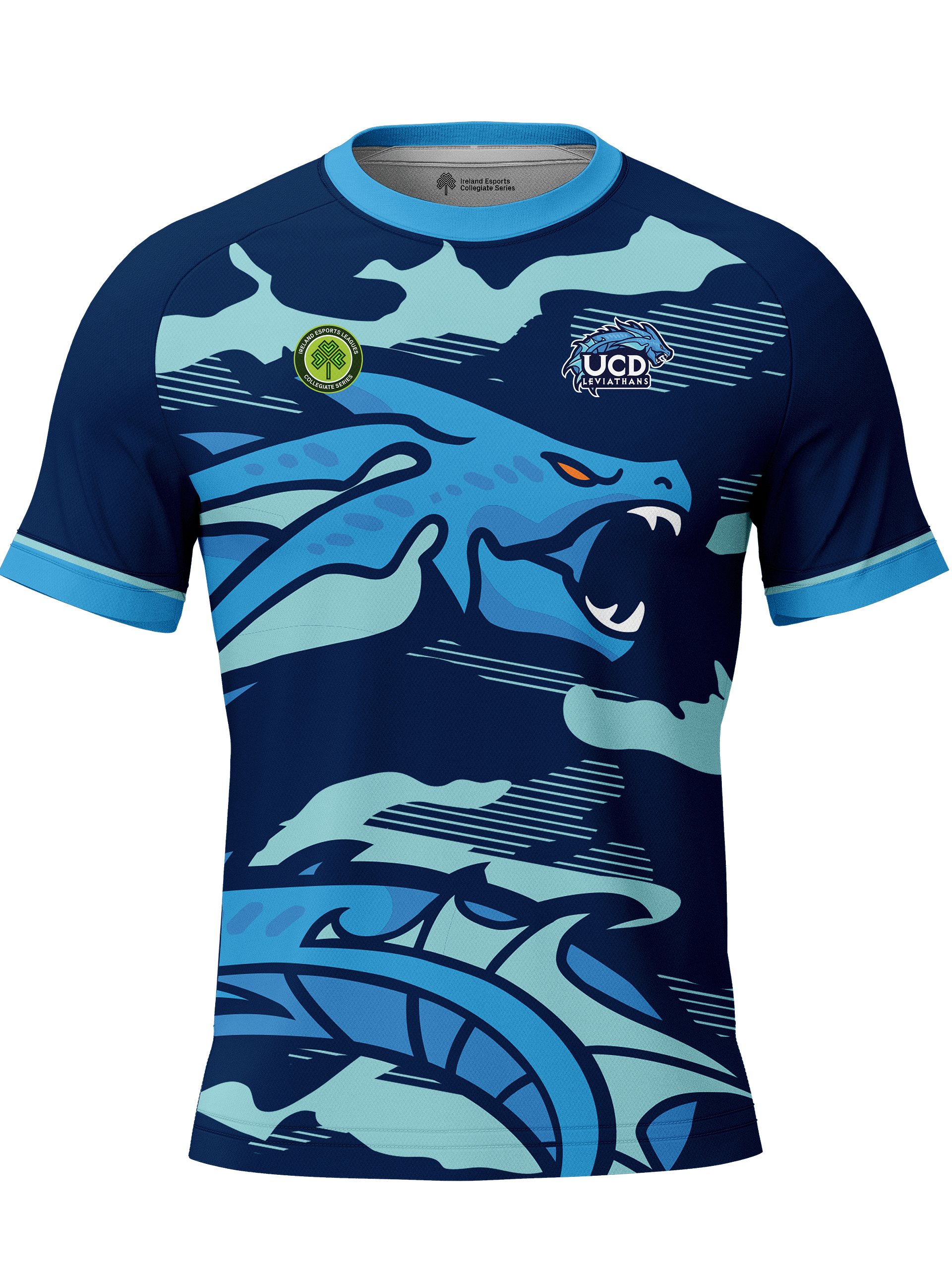 UCD Player Jersey product image (1)