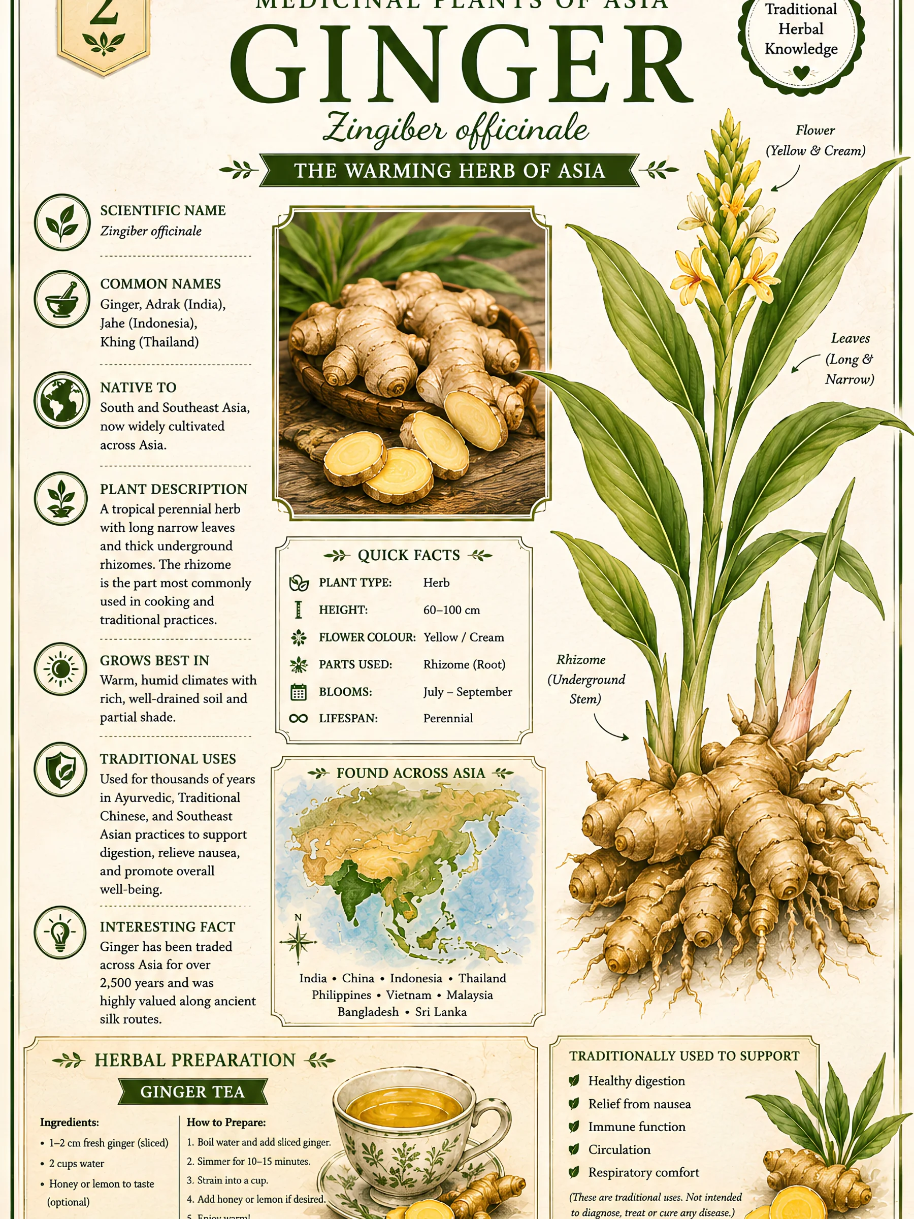 Medicinal Plants of Asia product image (5)