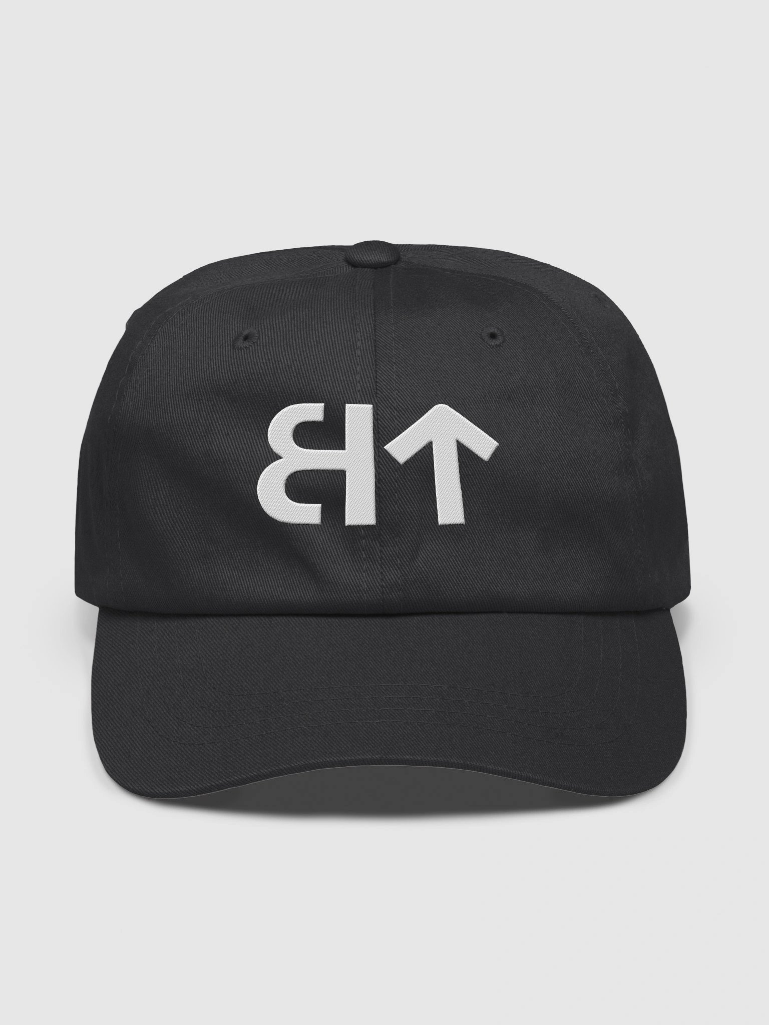 BT Logo Hat product image (2)