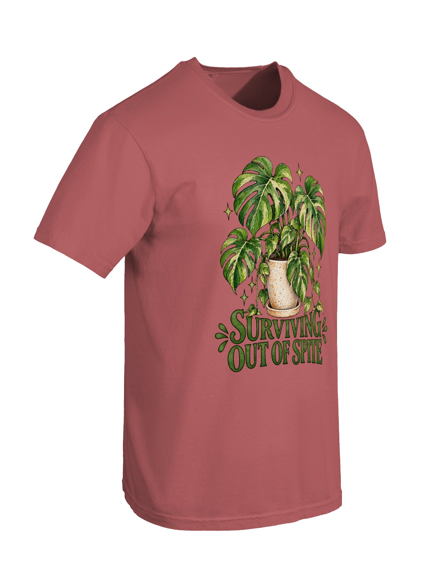 Surviving Monstera product image (6)