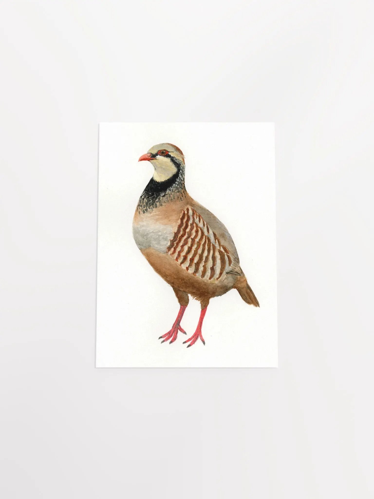 Partridge print product image (4)