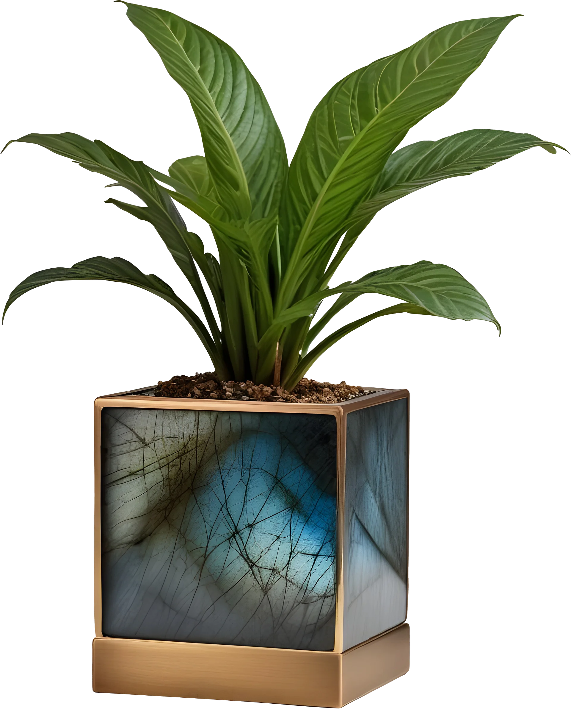 Stellar Luxe – Square Labradorite & Bronze Planter PNG product image (1)