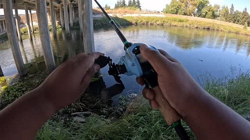 New species unlocked - Red Eared Sunfish #fishing #fyp #outdoors #fwlumii #delta