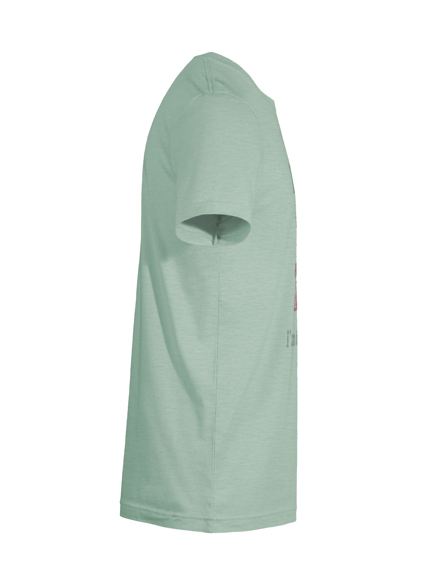 I'm Busy Reading T-Shirt product image (12)