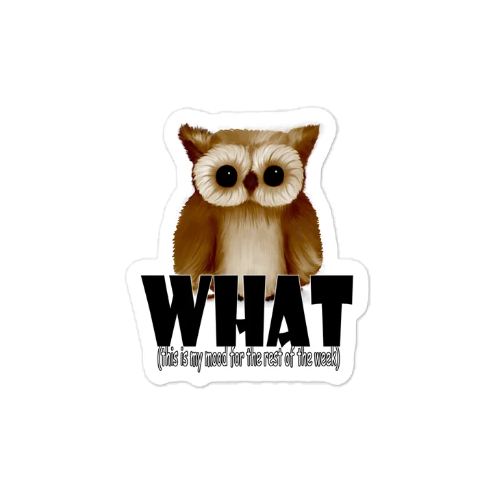 Owl "WHAT" Kiss-Cut Vinyl Decals product image (1)