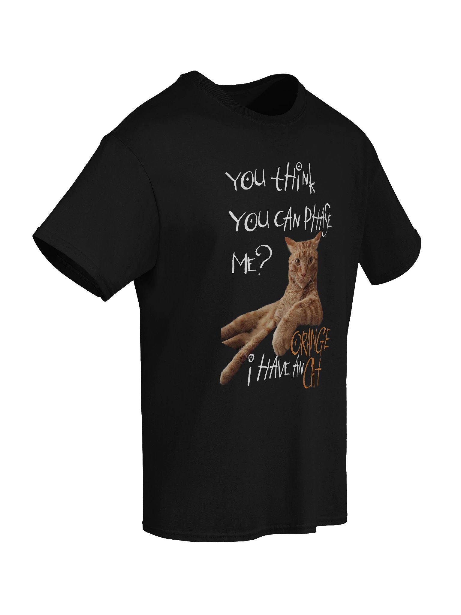 I HAVE AN ORANGE CAT TEE product image (67)