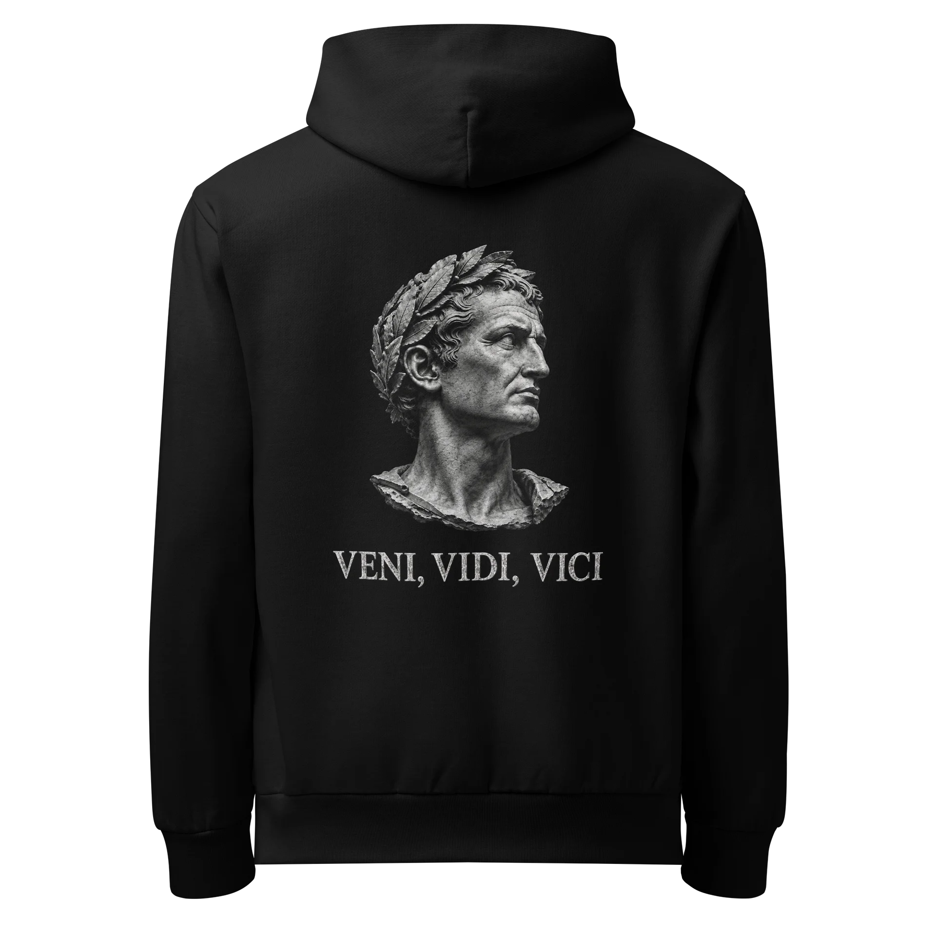 Veni, Vidi, Vici hoodie product image (2)