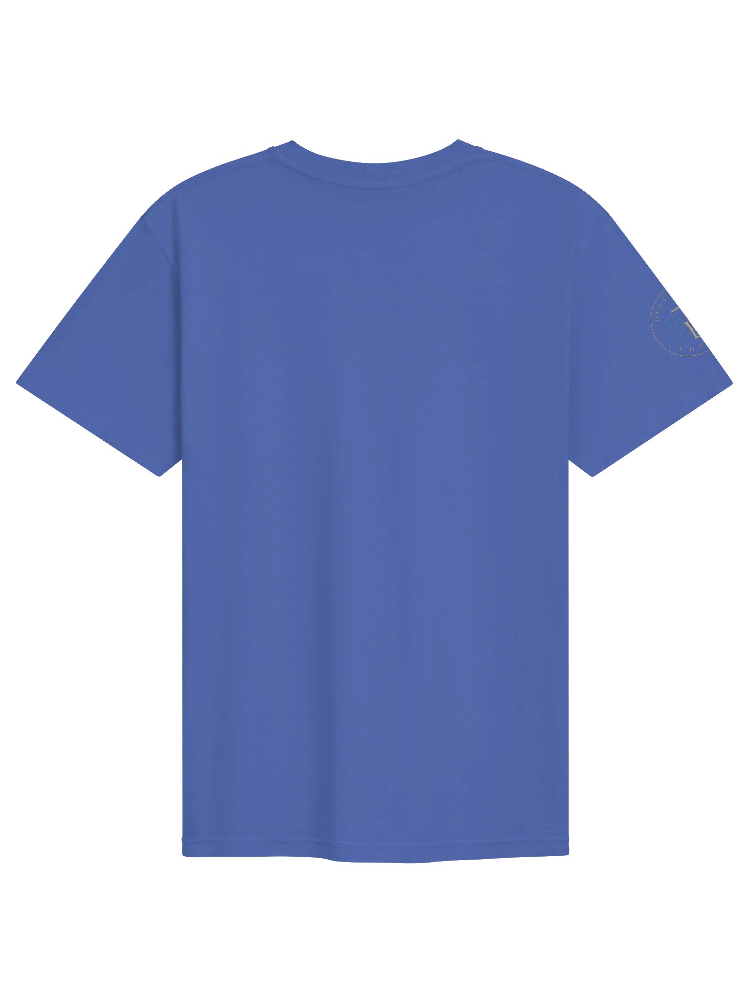 Biblical Truths: Thankful product image (4)