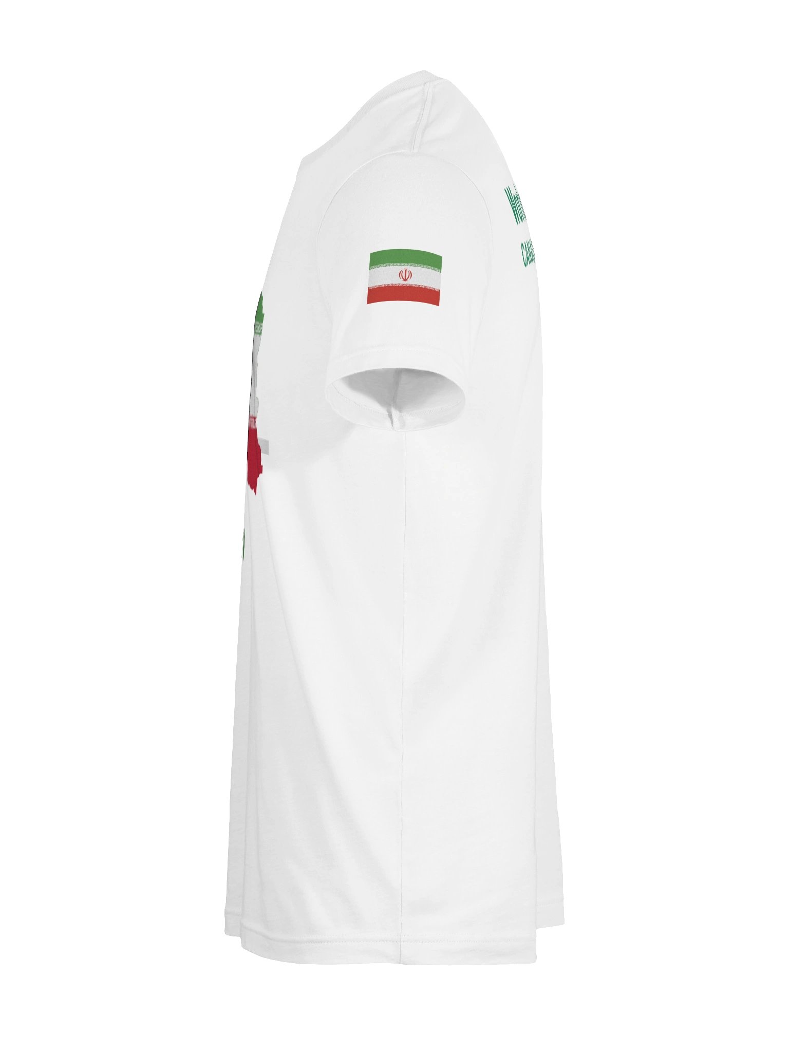 Iran 2026 World Cup Flag Tee - World Cup championship 2026 Edition - Premium Unisex T-Shirt product image (71)