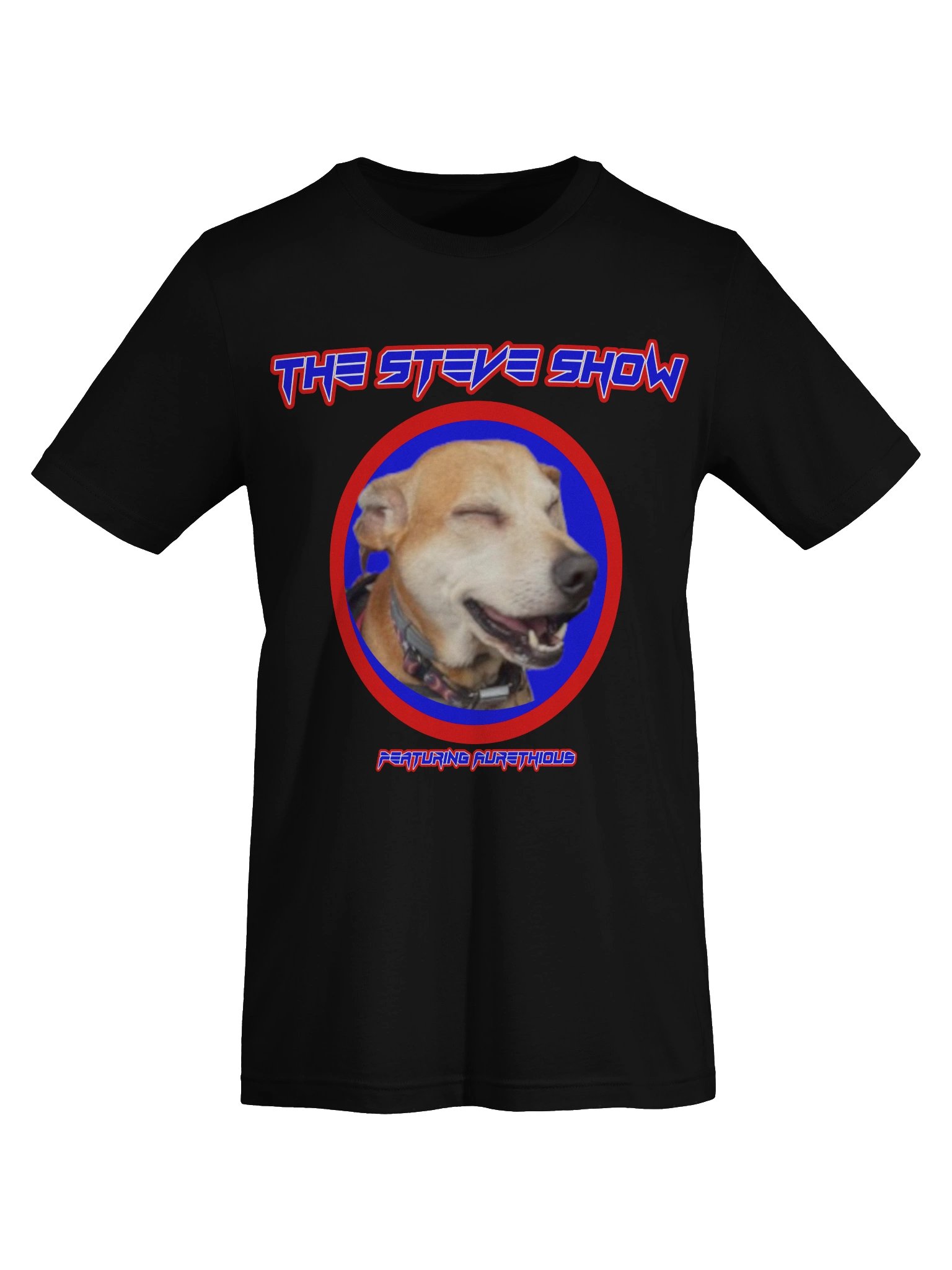 The Steve Show T-Shirt product image (26)