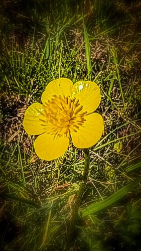 It’s a great day for a walk. #WalkEveryDay