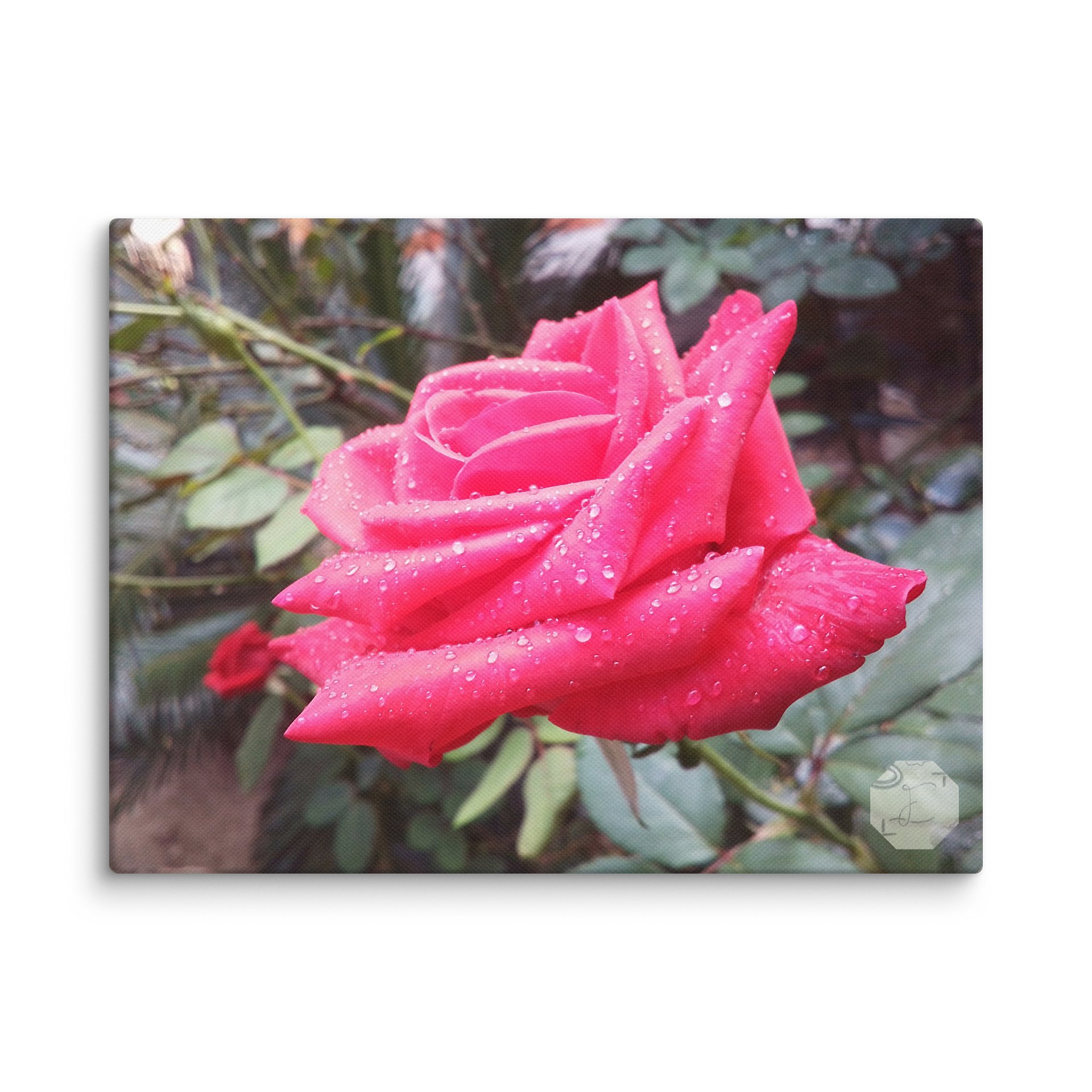 Rosaceous - Canvas Fine Art product image (1)