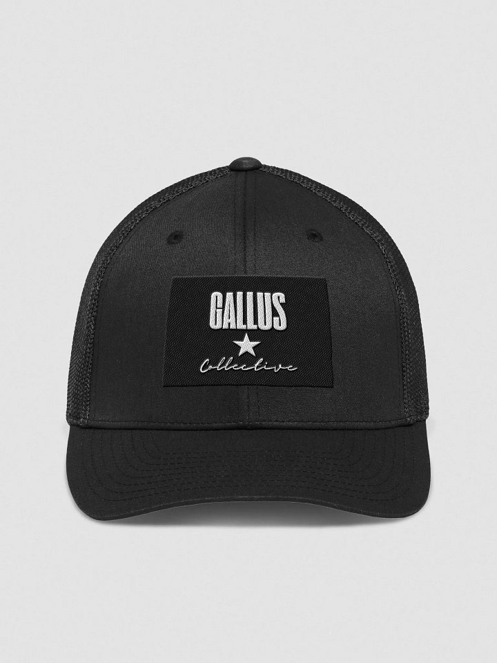 Gallus Classic Logo product image (1)