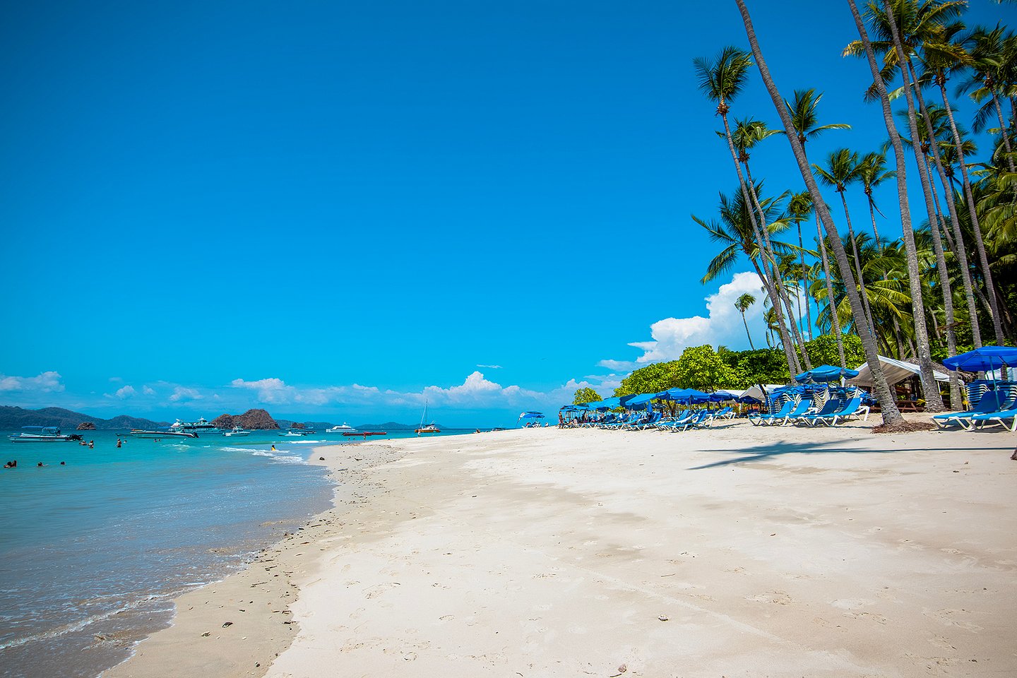 Palms, chairs and beach on Isla Tortuga, Costa Rica