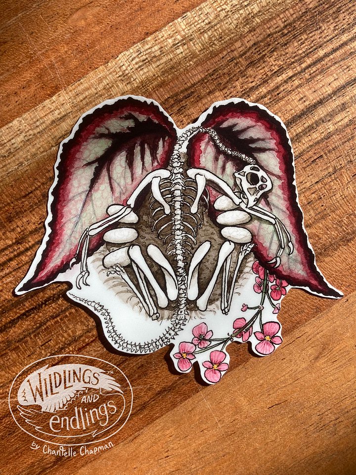 'Oviraptor & Begonia' - art decal product image (1)