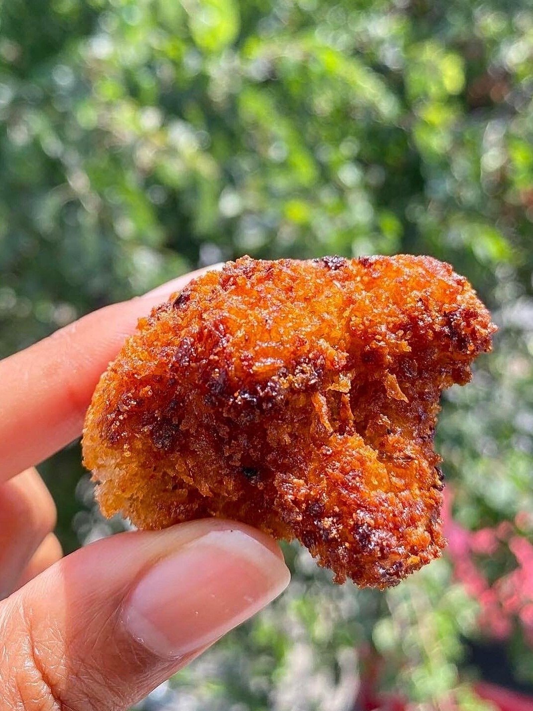The Crispy Masterclass product image (1)