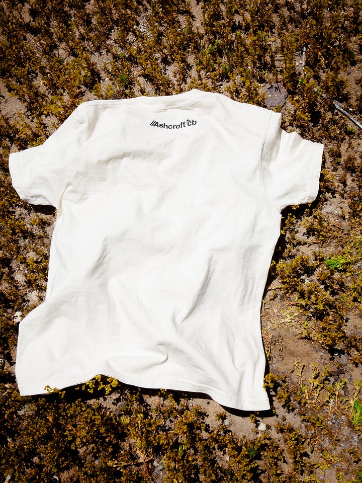WIFE product image (2)
