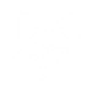 Kittyopus