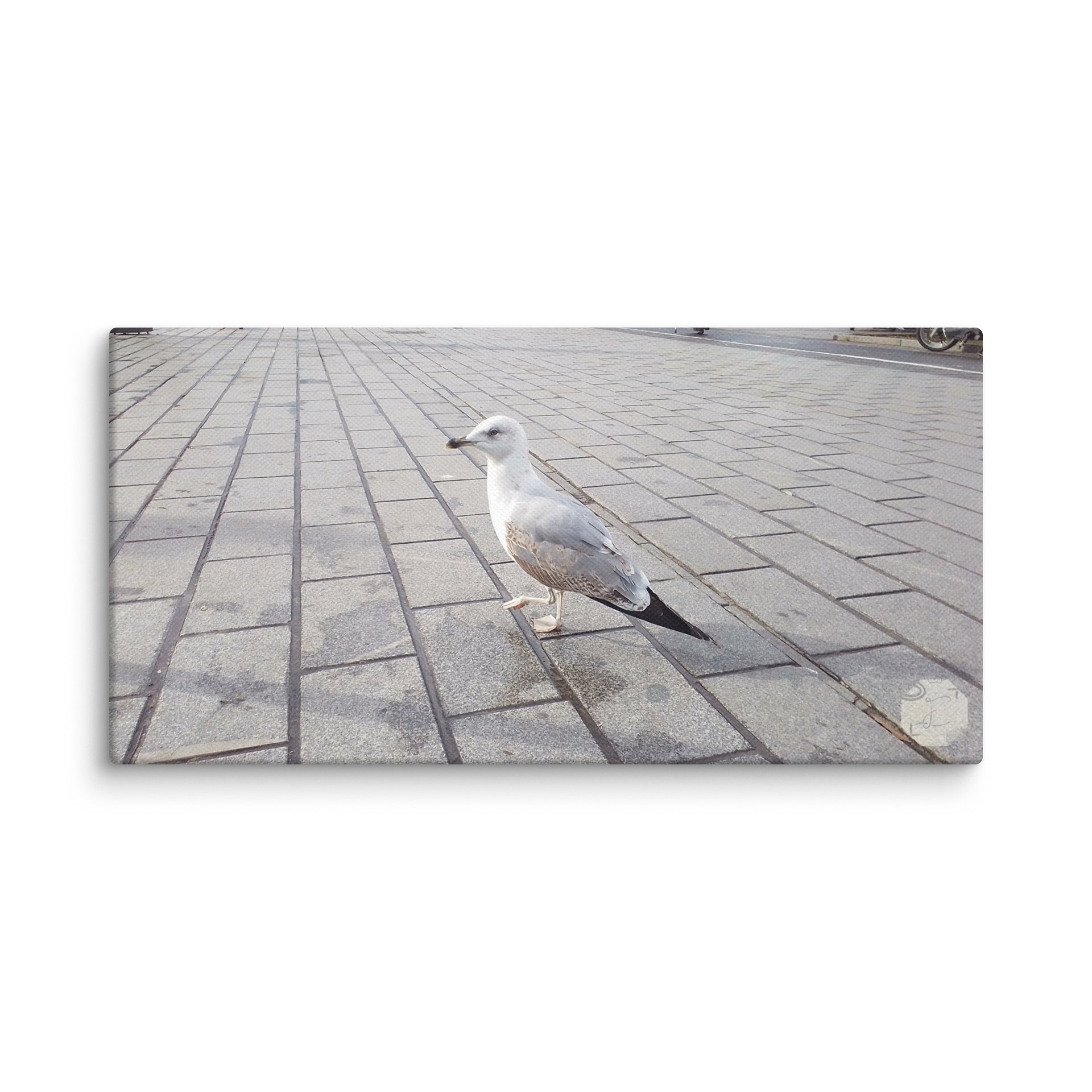 Larus A.- Canvas Fine Art product image (1)