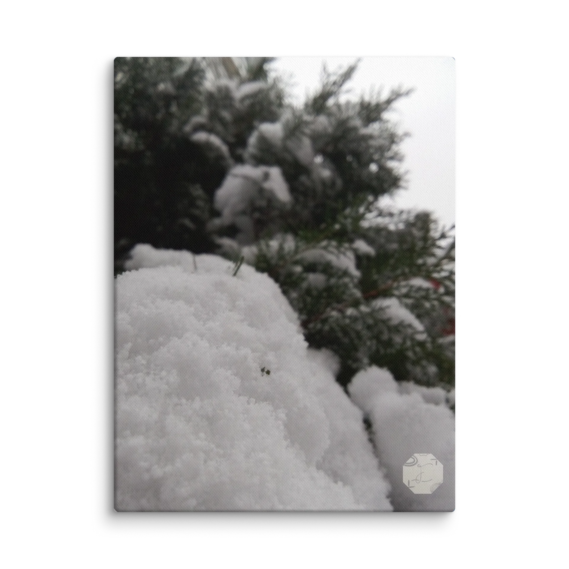 Snowy - Fine Art Canvas product image (2)