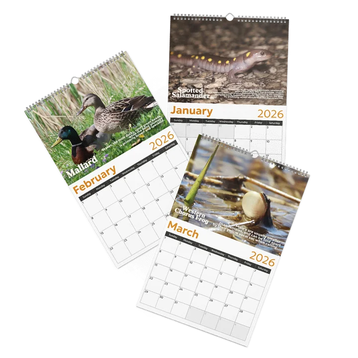 2026 Wall Calendar product image (2)