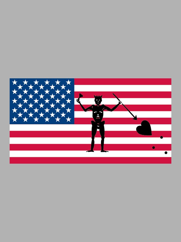 US Revenge Sticker product image (1)