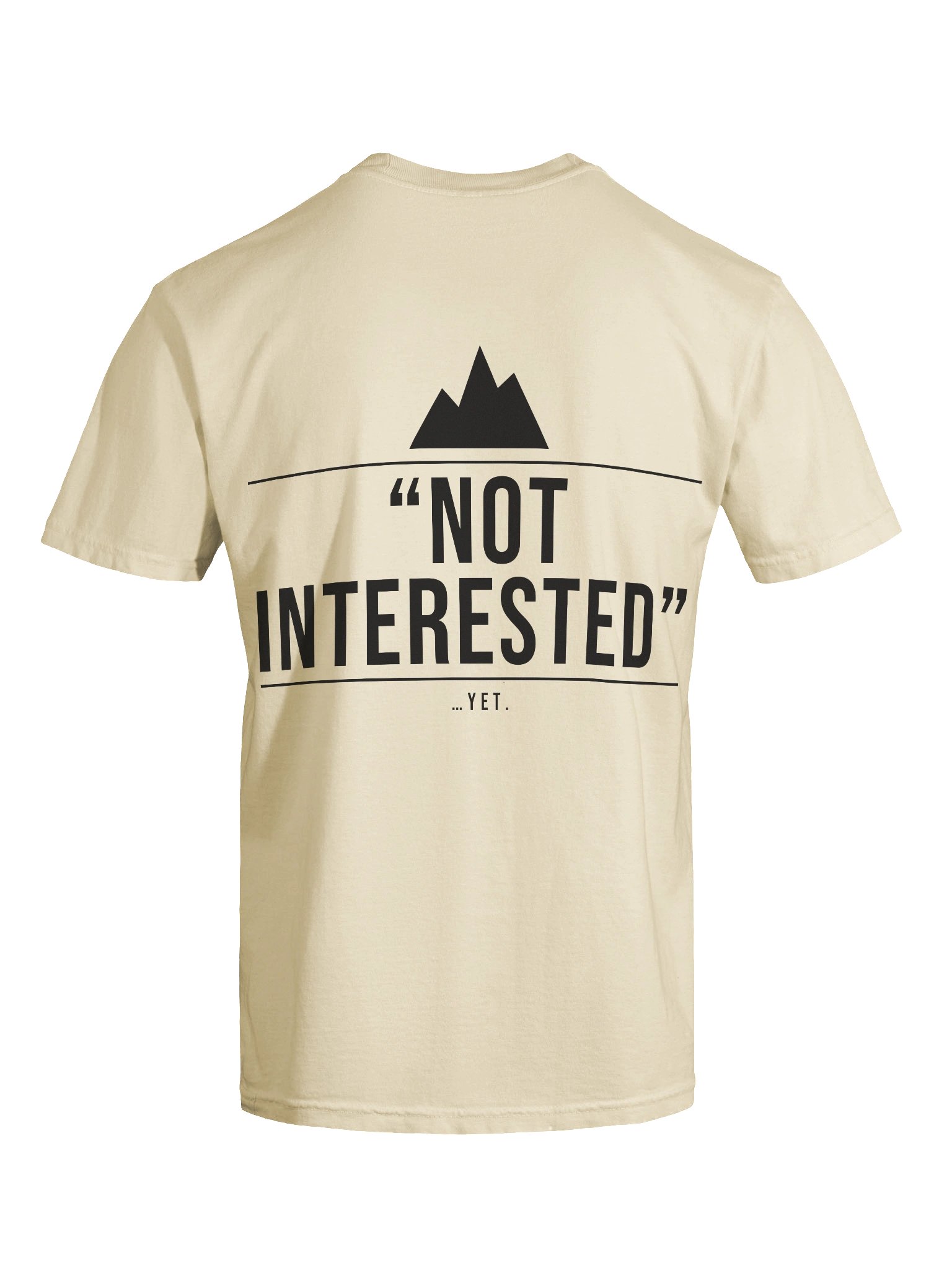 "No Soliciting" Heavyweight Tee — Ivory product image (31)