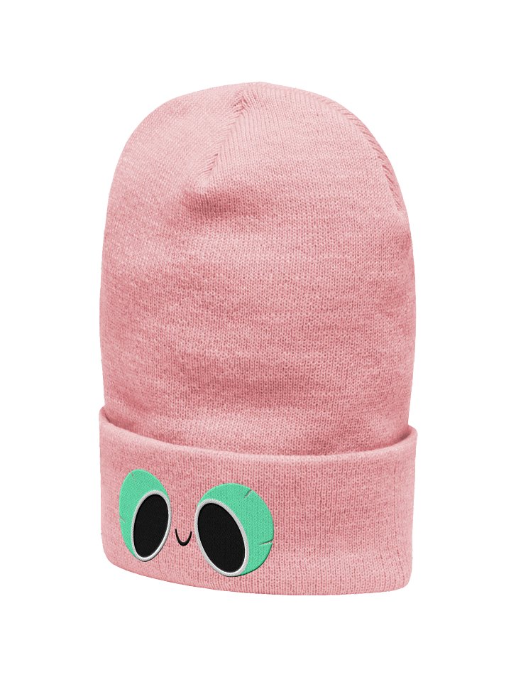 The Little Lake Lotls Potl face beanie - Enors product image (2)