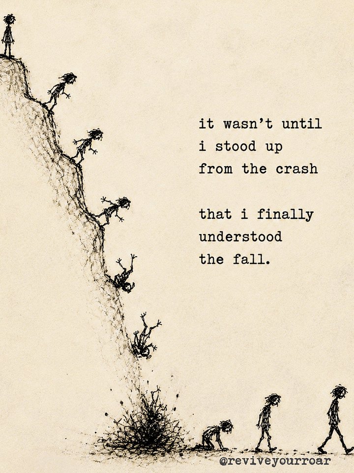 the crash & fall product image (1)