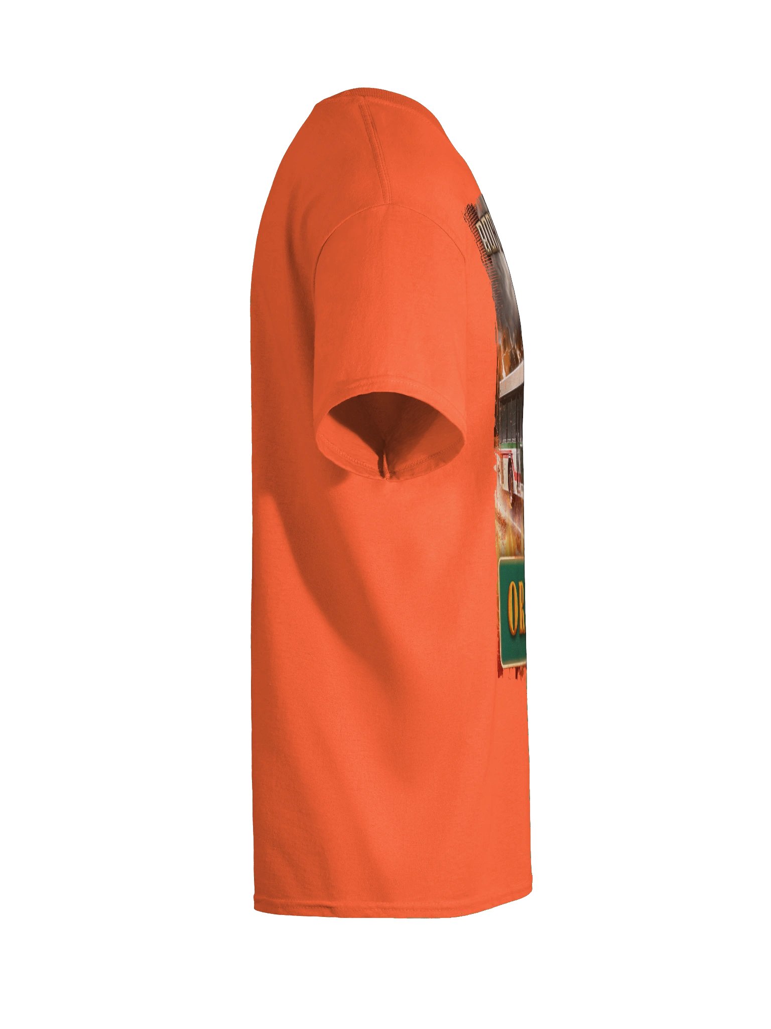 AppalShirt (Orange) product image (12)