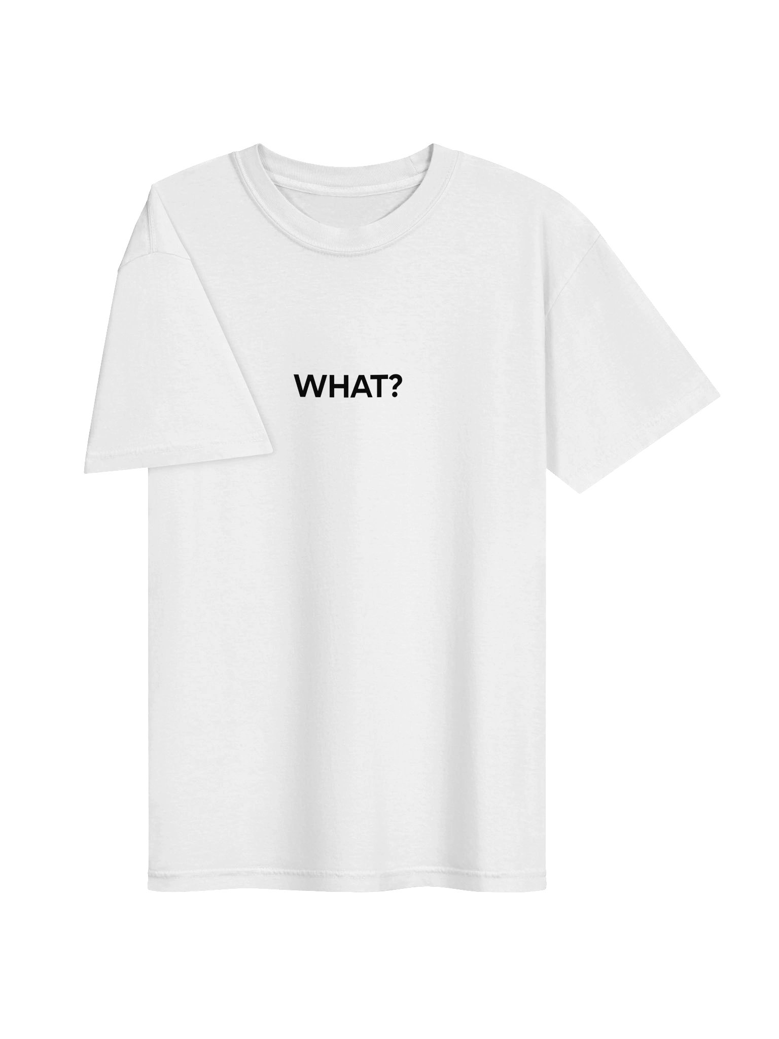 WHAT? Graphic Heavyweight Tee - WHITE product image (3)