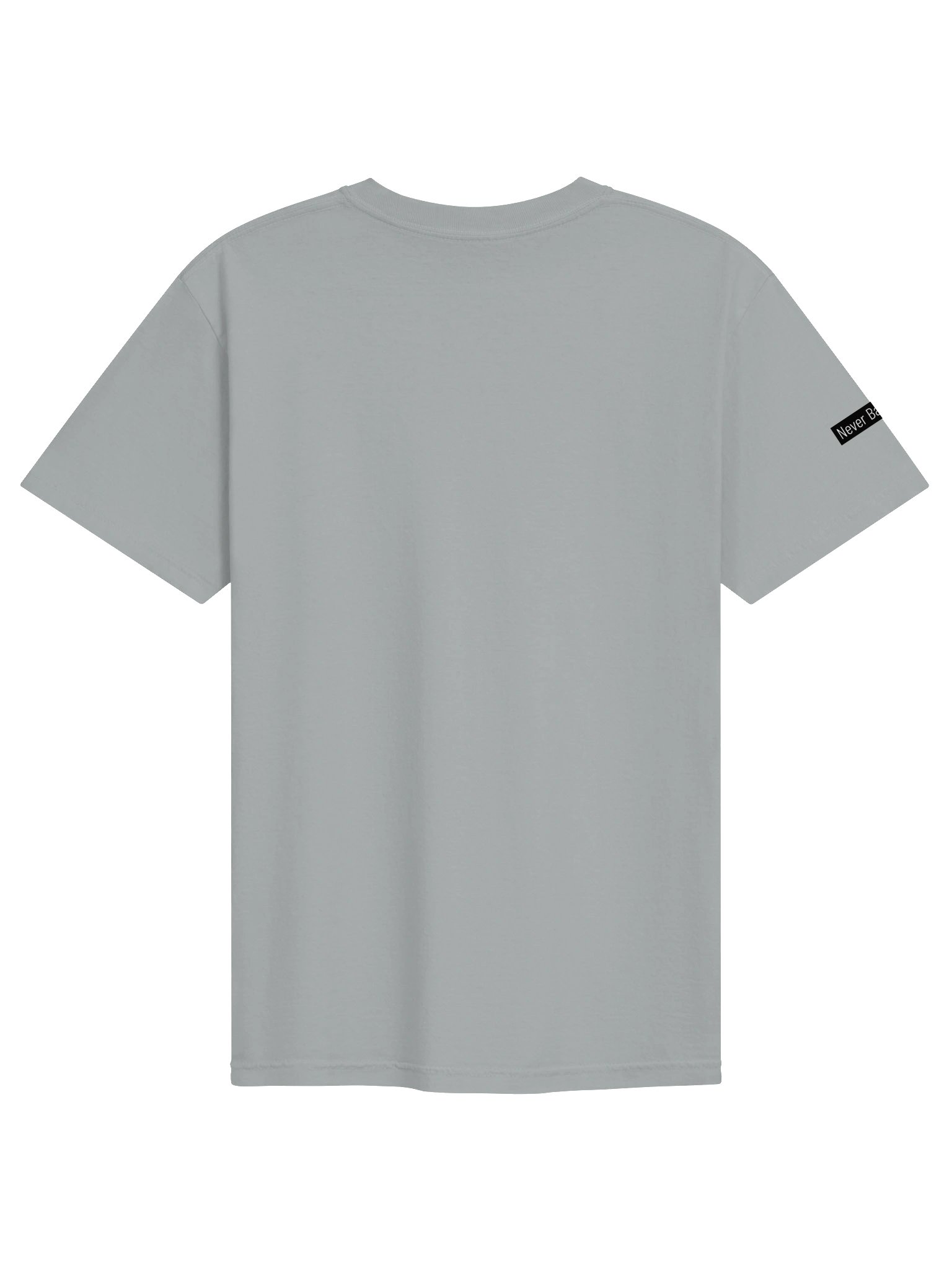 Never Back Down Heavyweight Tee product image (50)