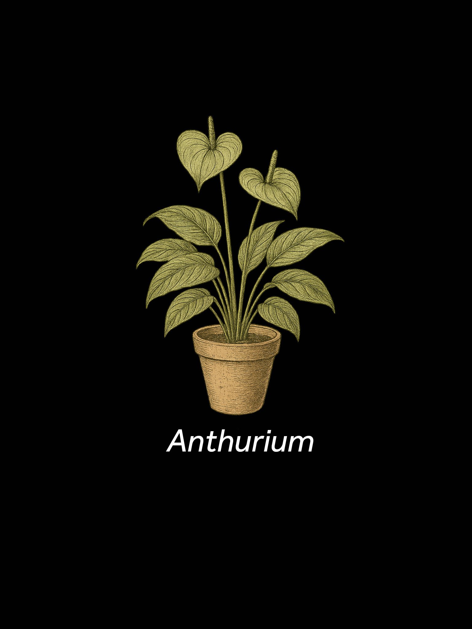Air Purifying Home Plants Framed Art Print product image (5)