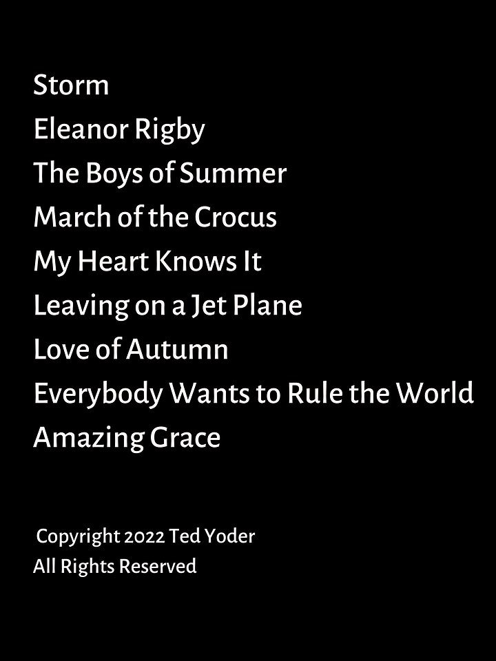 Ted Yoder Band LIVE product image (2)