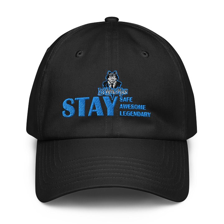 LWM UA Stay Hat product image (1)