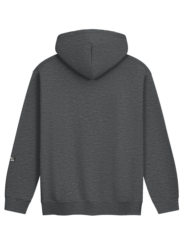 Critical Thinking Looks Good On You - Classic Hoodie product image (30)