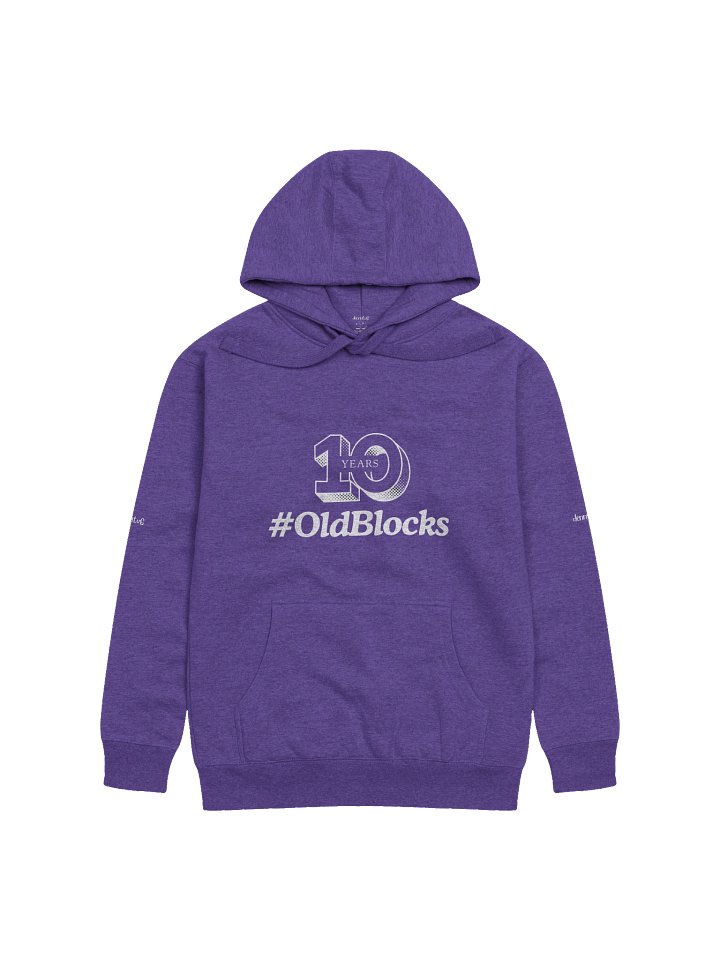 10 Years Old Blocks Hoodie product image (1)