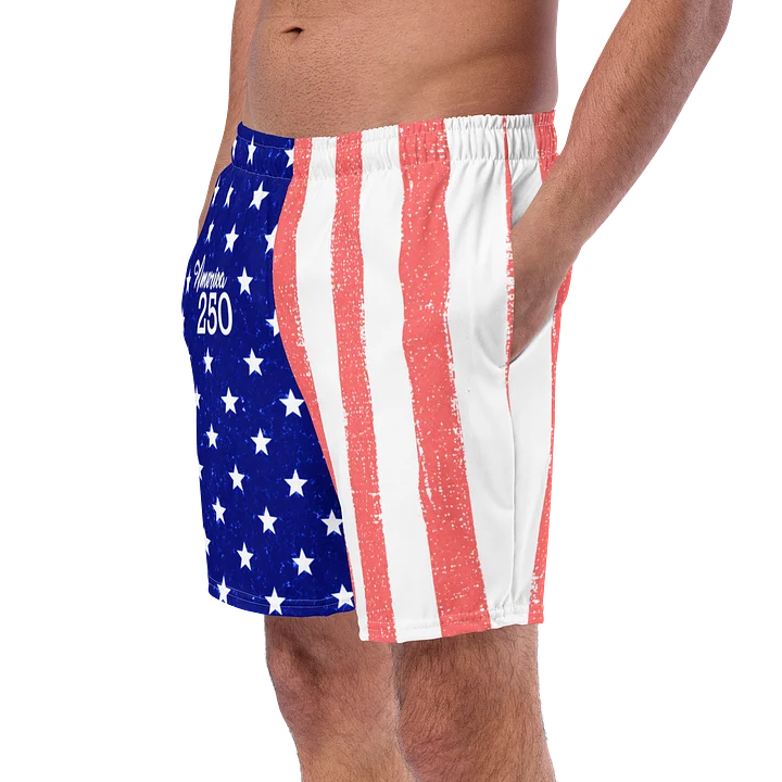 American 250 Stars & Stripes Swim Trunks product image (2)