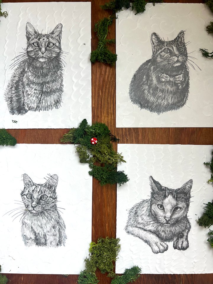Pet Portrait (Set of 4) product image (1)