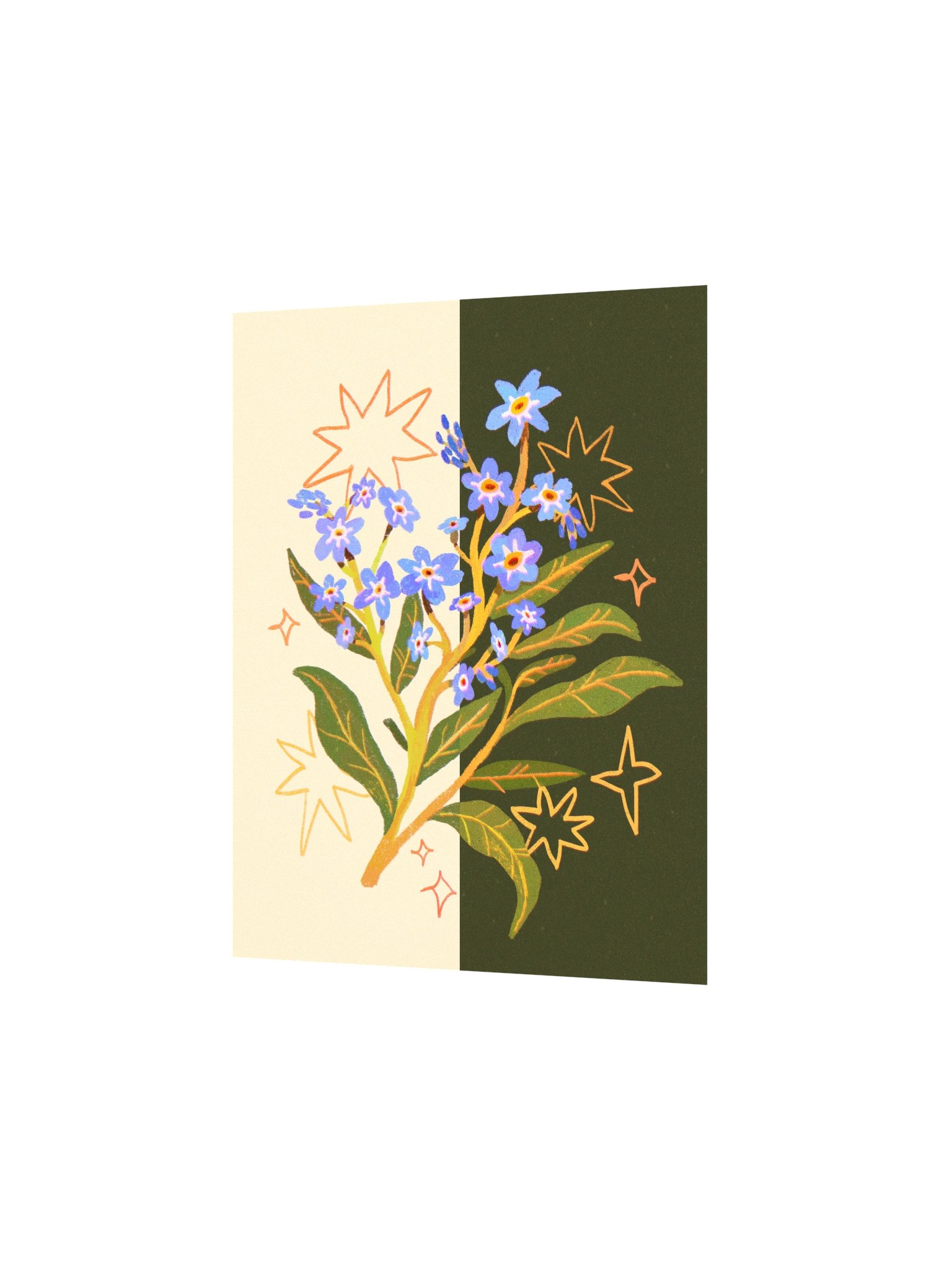 Day to Night Forget-me-not - Print product image (3)