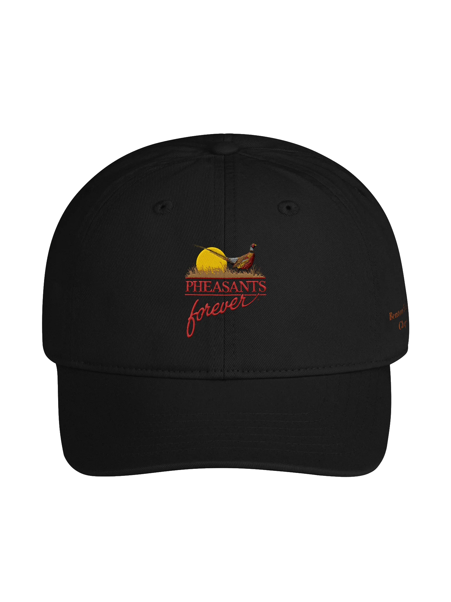 Benton Franklin PF Dad Cap product image (1)