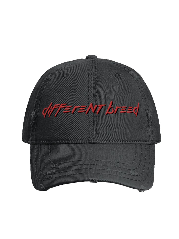 Different Breed Ball Cap (Embroidered logos) product image (1)