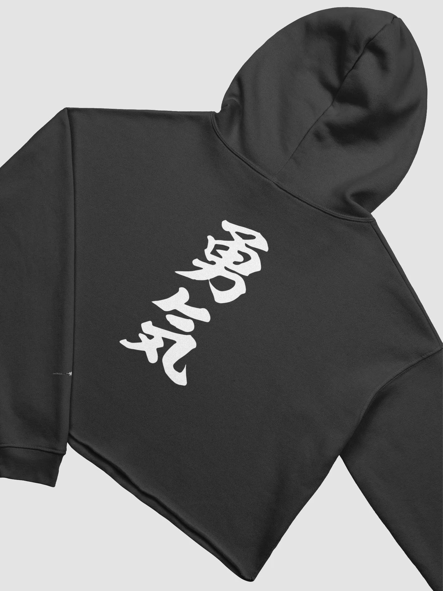 COURAGE CROP HOODIE product image (3)